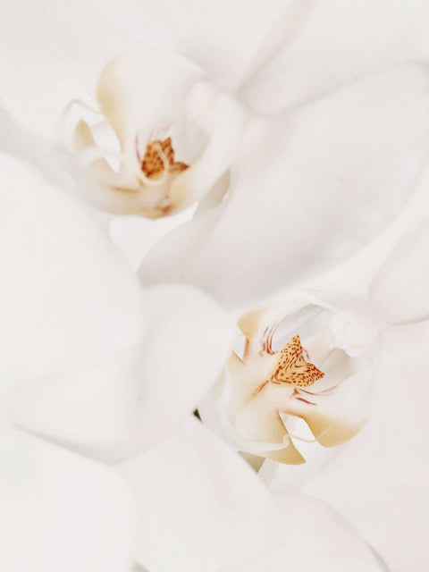 bougie-parfumee-artisanale-aux-senteurs-naturelles