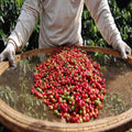 cafe-en-grains-dorigine-bresil