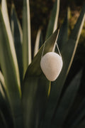 eponge-de-konjac-naturelle-pour-le-visage