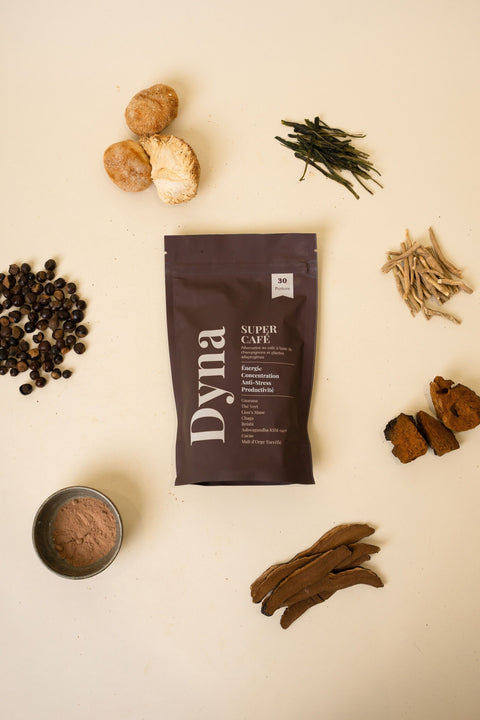 chai-aux-champignons-adaptogenes-bio