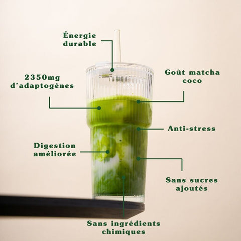 matcha-aux-champignons-adaptogenes-bio