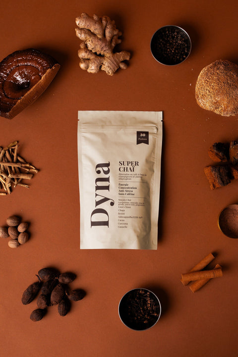 chai-aux-champignons-adaptogenes-bio