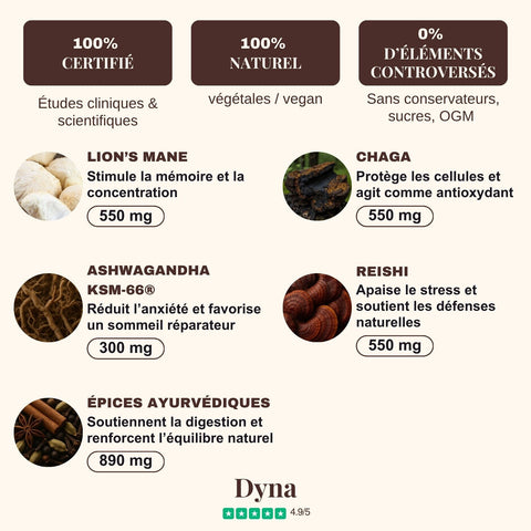 chai-aux-champignons-adaptogenes-bio