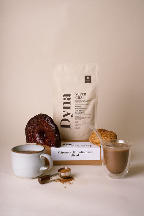 chai-aux-champignons-adaptogenes-bio