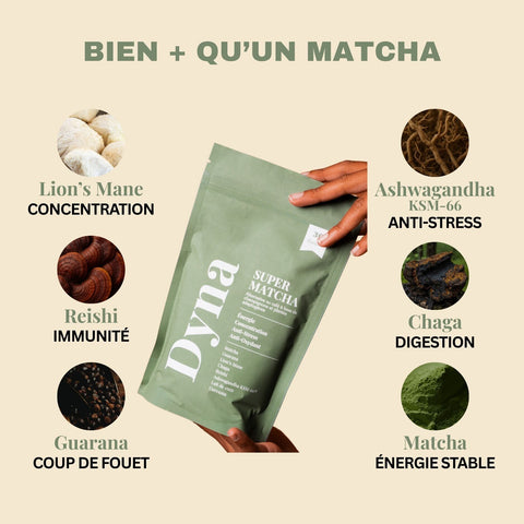 matcha-aux-champignons-adaptogenes-bio