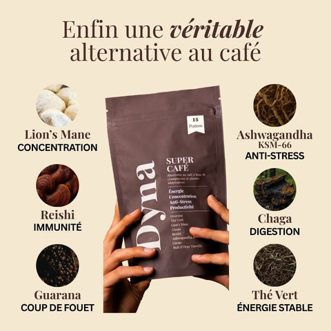 chai-aux-champignons-adaptogenes-bio