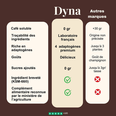 cafe-aux-champignons-adaptogenes