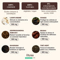 cafe-aux-champignons-adaptogenes