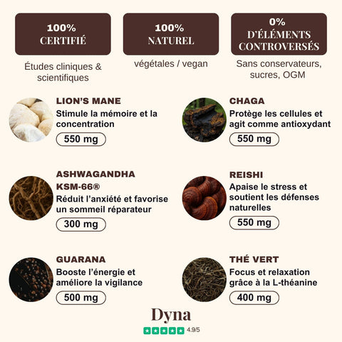 cafe-aux-champignons-adaptogenes