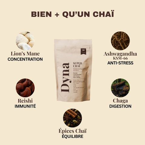 chai-aux-champignons-adaptogenes-bio