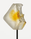 gummies-aux-champignons-pour-la-concentration